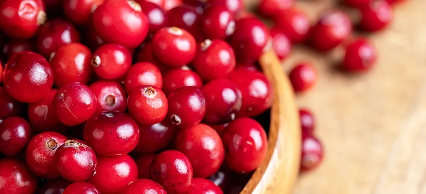 Cranberries: A Tiny Fruit with Big Health Benefits