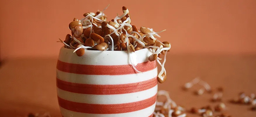 Riding the Health Wave: Horse Gram during Pregnancy