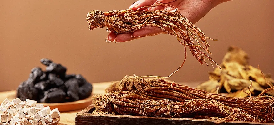 Chinese Herbal Medicine