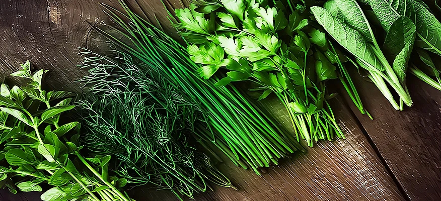 Herbs and Spices for a Healthier Liver: Your Essential Guide