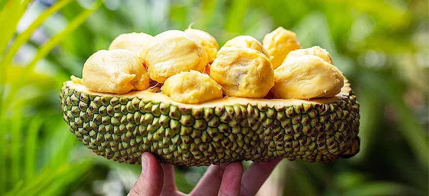 The Health Benefits of Cempedak: Nutrition and Recipes