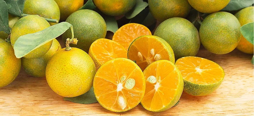 Calamansi: A Powerhouse of Nutrition and Health Benefits