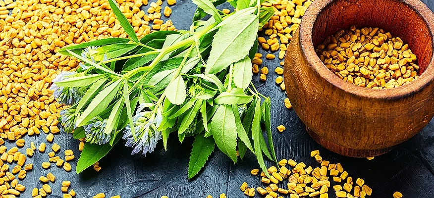 Fenugreek for Hair: Unveiling Miraculous Benefits