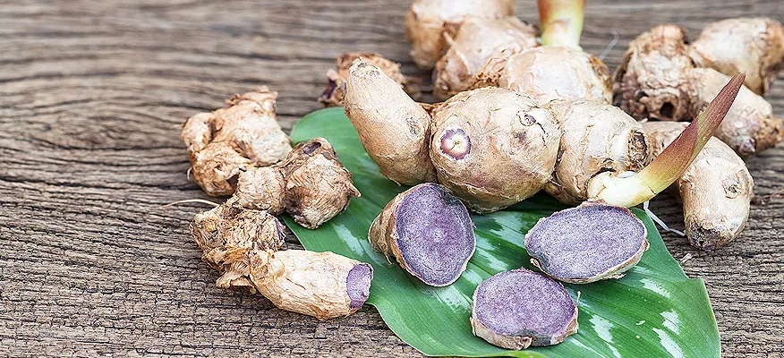 Health Boost: Unleashing the Power of Black Ginger