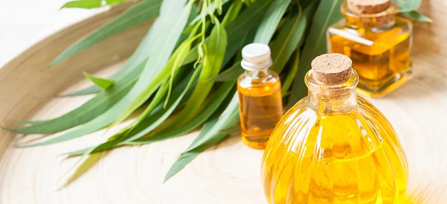 Benefits of Essential Oils for Cough