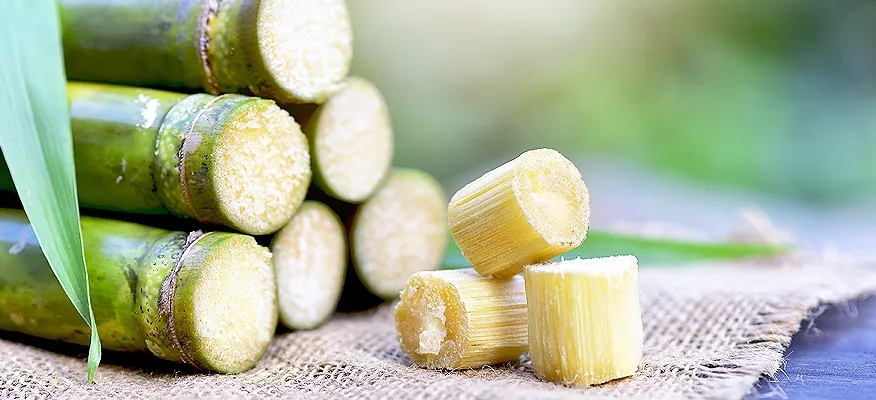 Sugarcane: A Sweet Path to Better Health